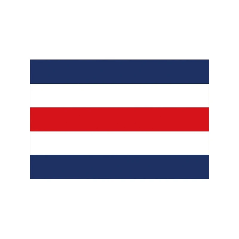 Confezione Bandiere N/C Francia 4 Confezione Bandiere N/C Francia - immagine 2