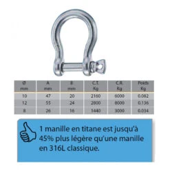 WICHARD Grillo In Titanio A Forma Di Lira