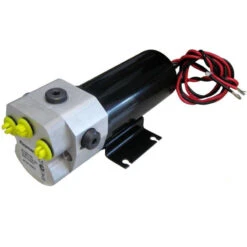 RAYMARINE Pompa Reversibile T1 - 12v